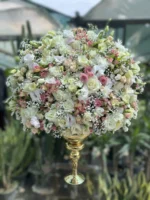 گل خواستگاری و تبریک جام گل