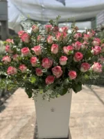 سطل گل رز جومولیا با رز فوق ممتاز - تصویر 2