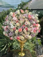 گل خواستگاری و تبریک جام گل