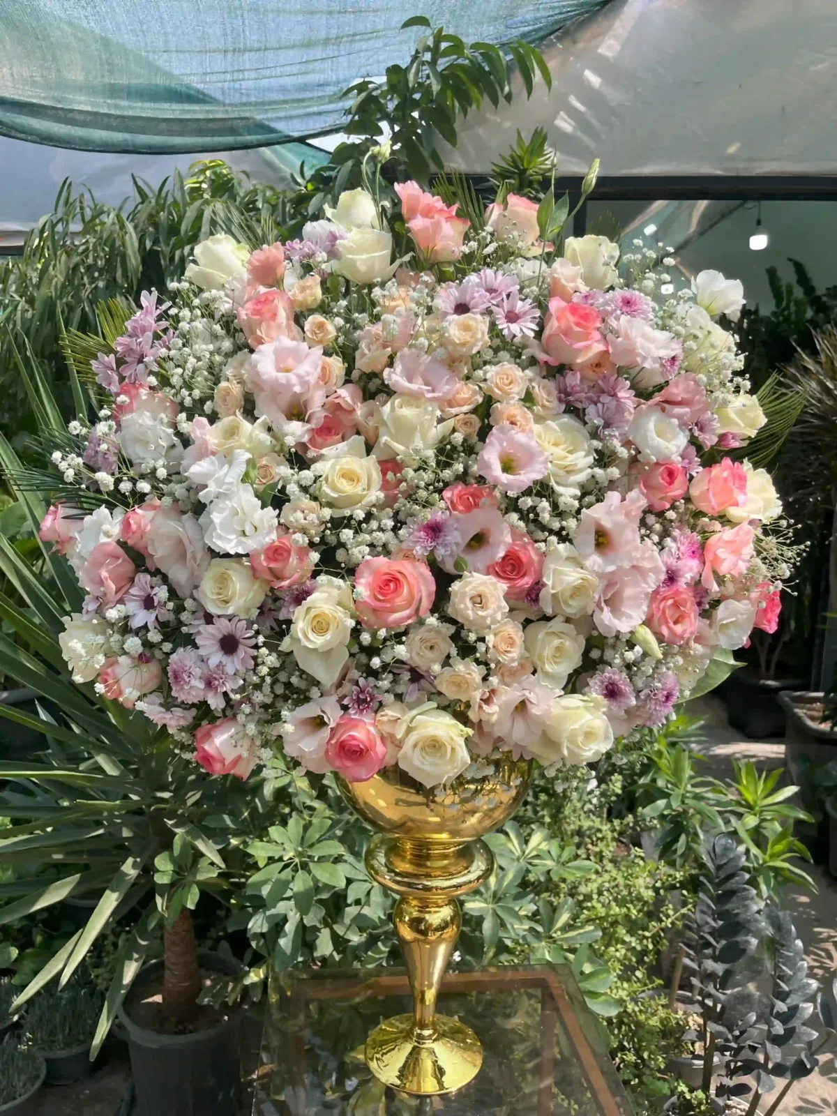 گل خواستگاری و تبریک جام گل