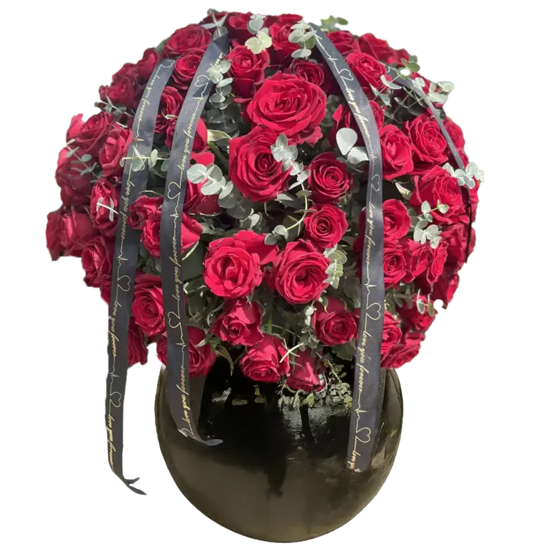 گل رز هلندی