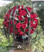 گل رز هلندی