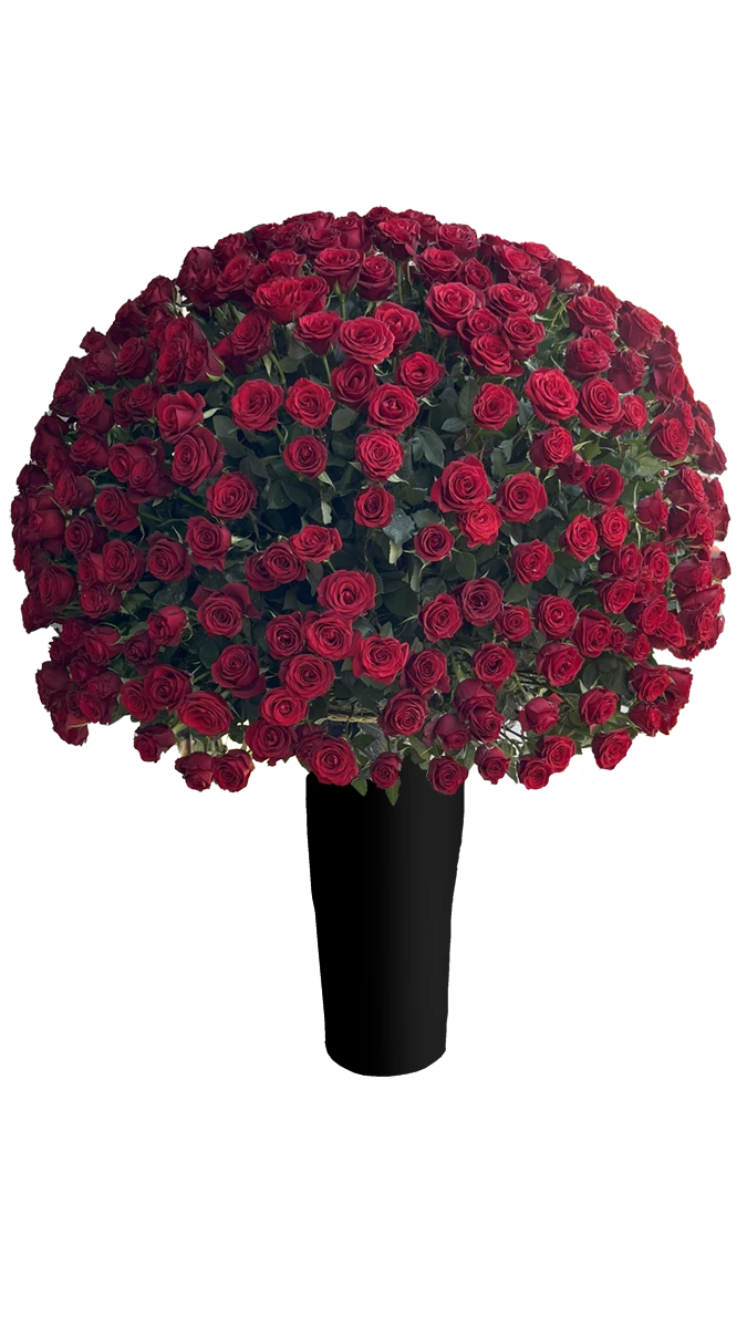 IMG_6653 copy گل ایستاده