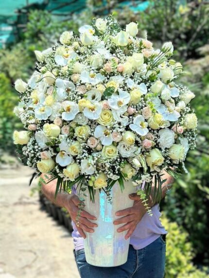 گل خواستگاری و افتتاحیه