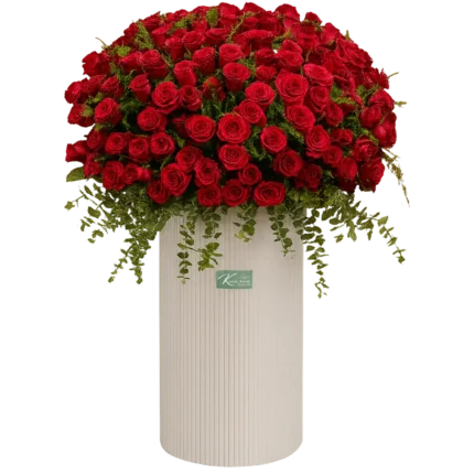 باکس گل رز قرمز - سطل گل