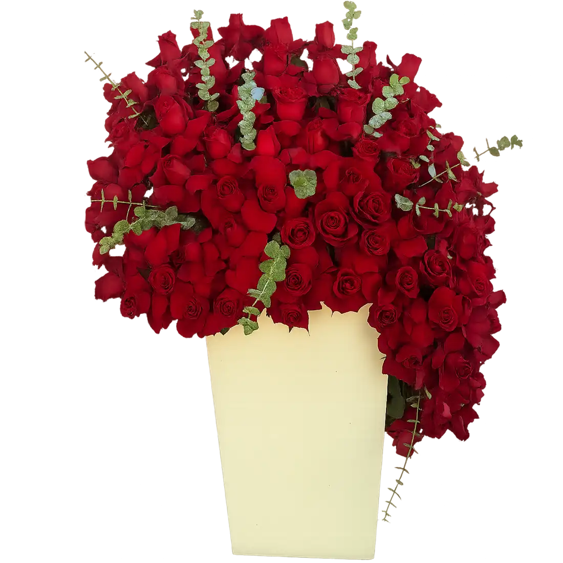 r7x9xk9ywkpdb باکس گل رز قرمز فروشگاه گل کوروش