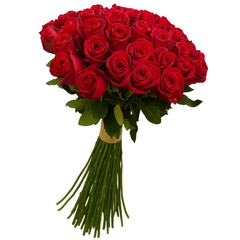 دسته گل رز قرمز