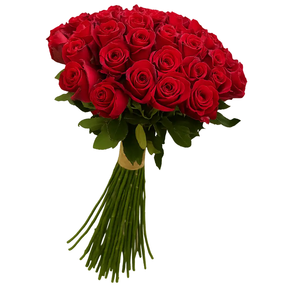 wc9zkhzxty copy دسته گل رز قرمز